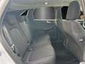 Ford Kuga Titanium Winter Pak. Navi Digitales Cockpit Blanco - thumbnail 13