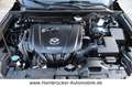 Mazda CX-3 2.0 Exclusive-Line~1.Hand~Navi~LED~Scheckhe Noir - thumbnail 6