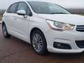 Citroen C4 1.6HDi Exclusive Blanco - thumbnail 3