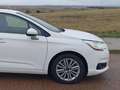 Citroen C4 1.6HDi Exclusive Blanco - thumbnail 5