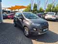 Ford EcoSport Titanium Grau - thumbnail 4