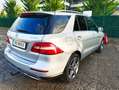 Mercedes-Benz ML 250 250BlueTec 4M Edition 1 7G Plus Plateado - thumbnail 2