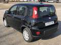 Fiat Panda MY24 1.0 Klima PDC Citypaket Schwarz - thumbnail 4
