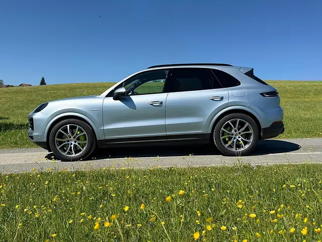 Porsche Cayenne III E-Hybrid PHEV 21,8 kWh Aut. Ansicht 9