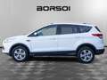 Ford Kuga 2ª serie 2.0 TDCI 120 CV S&S 2WD Business Weiß - thumbnail 2
