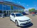 Volkswagen Golf VIII TSI Rabbit * RÜCKFAHRKAMERA Weiß - thumbnail 3