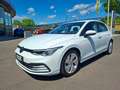 Volkswagen Golf VIII TSI Rabbit * RÜCKFAHRKAMERA Weiß - thumbnail 5
