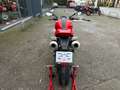 Ducati Monster 696 + | "Origine" Rouge - thumbnail 4