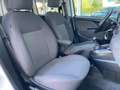 Fiat Doblo 1.6 MJT Combi 5 Posti SX Blanc - thumbnail 15