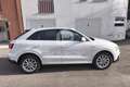 Audi Q3 Q3 2.0 TDI quattro S tronic Business Plus Blanc - thumbnail 6