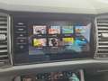 Skoda Kodiaq 2.0 TDI Scout 4x4 Standheizung AHK Grau - thumbnail 18