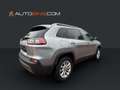 Jeep Cherokee Limited 4WD*Bi-Xenon*Navi*Kamera*Pano* Argent - thumbnail 6
