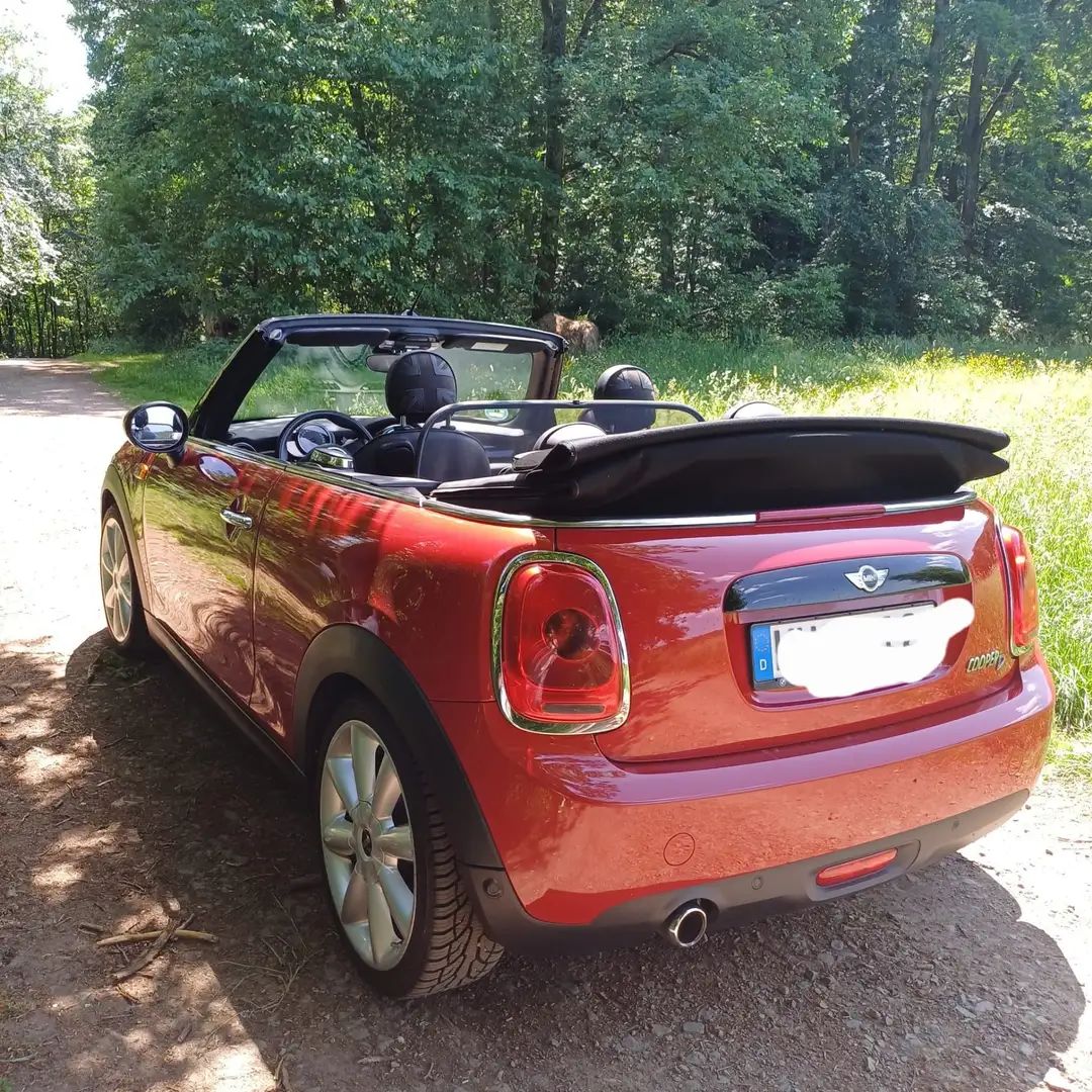 MINI Cooper D Cabrio Ausstattung Pepper - 2