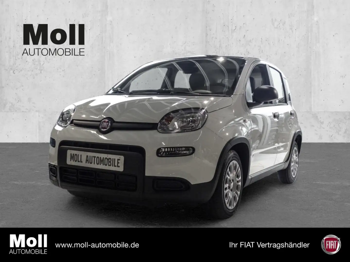 Fiat Panda Mild Hybrid City Paket Gelato Weiß Blanc - 1