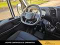 Iveco Daily daily 35 S16 2.3 V LH3 3520 E6d-temp Wit - thumbnail 8
