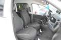 Fiat Panda 1.0 hybrid 70CV Easy Connect S&S Uff Italy USB Bianco - thumbnail 12