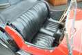 Morgan 4/4 Series II - Ford 1500 GT 120E 6015 Engine Rojo - thumbnail 12