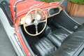 Morgan 4/4 Series II - Ford 1500 GT 120E 6015 Engine Rojo - thumbnail 15