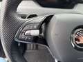 Skoda Enyaq 80 Grau - thumbnail 10