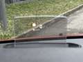 Opel Vivaro 4x4 DANGEL PacK BUSINESS CABINE APPRO 5 PLACES 2.0 Rood - thumbnail 22