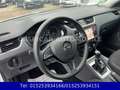 Skoda Octavia Ambition,KLIMAAUTOM.,NAVI,SHZ,PDC,1.HAND Weiß - thumbnail 12