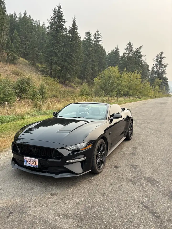2019 Ford Mustang
