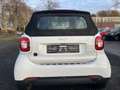 smart forTwo fortwo cabrio electric drive EQ°MwSt 19% Blanc - thumbnail 18