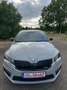 Skoda Octavia Octavia 2.0 TSI RS Grau - thumbnail 10