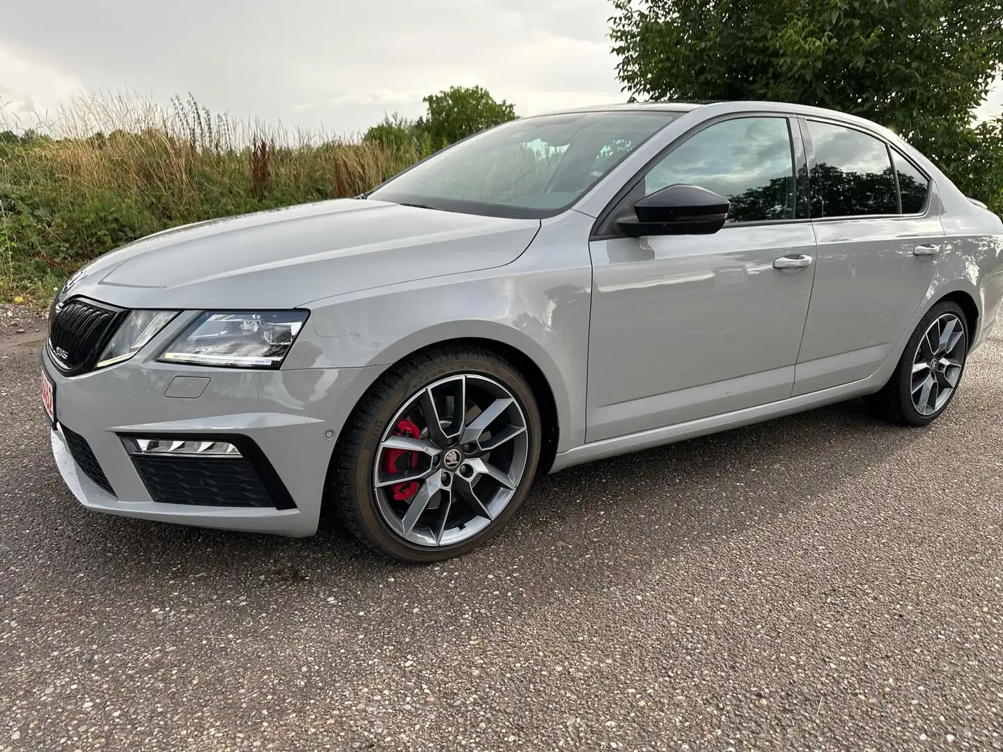 Skoda Octavia Octavia 2.0 TSI RS Grau - 1