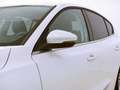 Ford Focus 1.0 Ecoboost Trend+ 125 Blanco - thumbnail 5