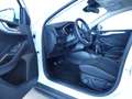 Ford Focus 1.0 Ecoboost Trend+ 125 Blanco - thumbnail 14
