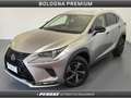 Lexus NX 300 NX Hybrid 4WD Premium Gris - thumbnail 1