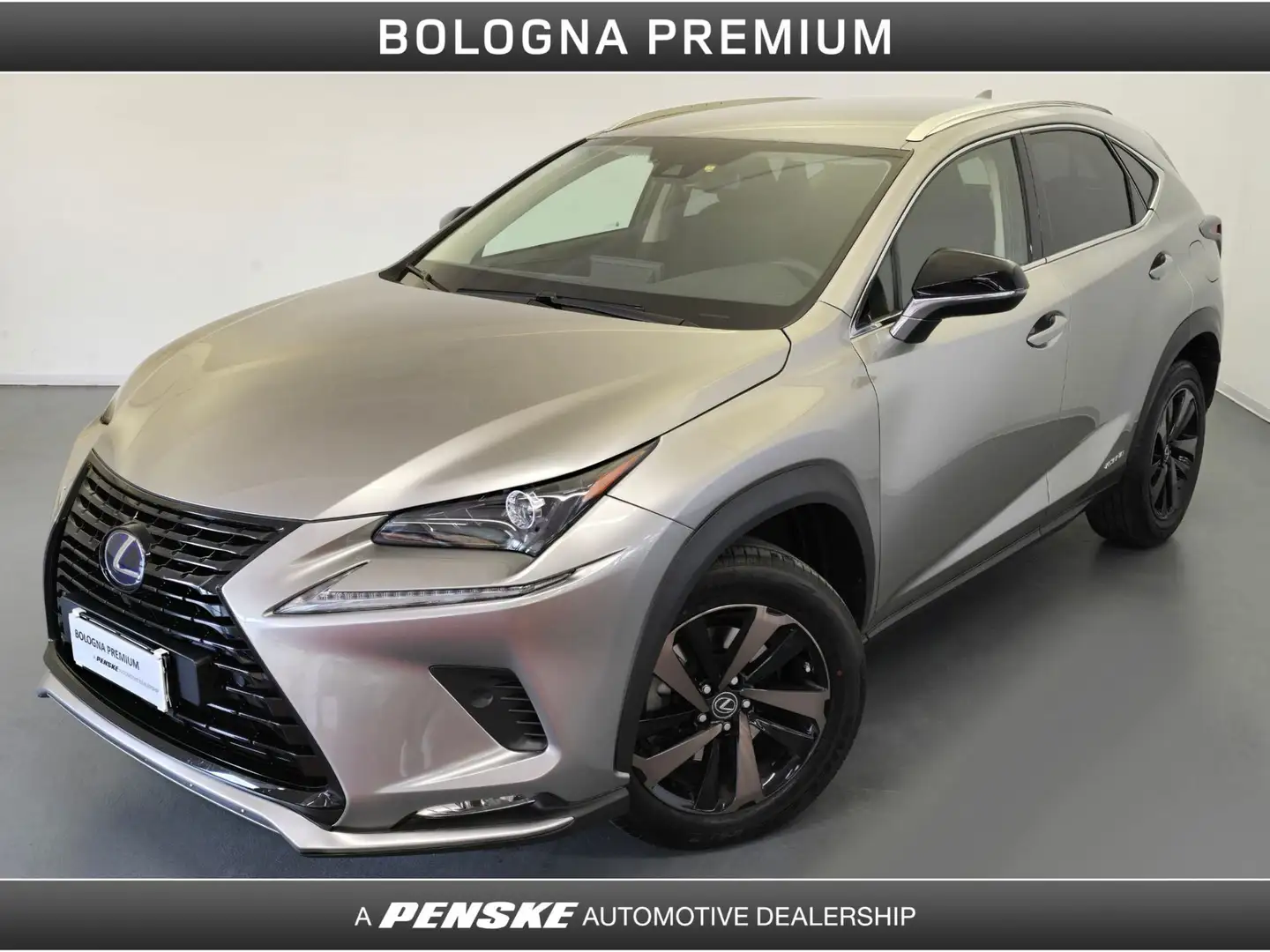 Lexus NX 300 NX Hybrid 4WD Premium Gris - 1