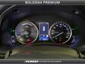 Lexus NX 300 NX Hybrid 4WD Premium Gris - thumbnail 11