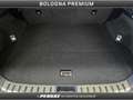 Lexus NX 300 NX Hybrid 4WD Premium Gris - thumbnail 17