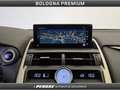 Lexus NX 300 NX Hybrid 4WD Premium Gris - thumbnail 12