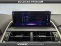 Lexus NX 300 NX Hybrid 4WD Premium Gris - thumbnail 34