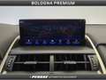 Lexus NX 300 NX Hybrid 4WD Premium Gris - thumbnail 33