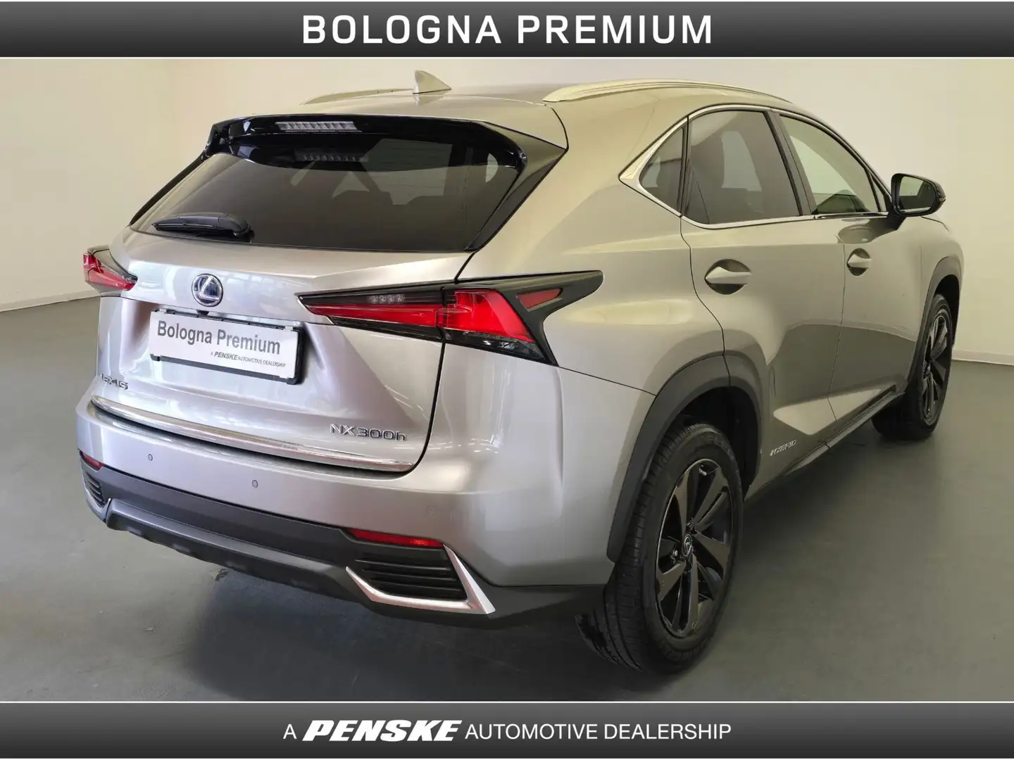 Lexus NX 300 NX Hybrid 4WD Premium Gris - 2