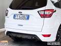 Ford Kuga 1.5 tdci st-line s&s 2wd 120cv my19.25 Wit - thumbnail 17