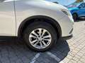 Nissan X-Trail 1.6 dCi 2WD Acenta Bianco - thumbnail 6