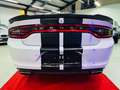 Dodge Charger 3.6 -SRT Design -Allrad Weiß - thumbnail 10