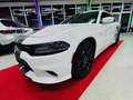 Dodge Charger 3.6 -SRT Design -Allrad Weiß - thumbnail 2