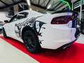 Dodge Charger 3.6 -SRT Design -Allrad Weiß - thumbnail 5