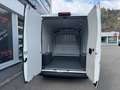 Fiat Ducato 33 L2H2 140 Multijet Weiß - thumbnail 12