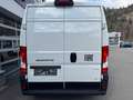 Fiat Ducato 33 L2H2 140 Multijet Weiß - thumbnail 9