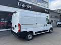 Fiat Ducato 33 L2H2 140 Multijet Weiß - thumbnail 6