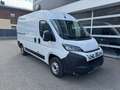 Fiat Ducato 33 L2H2 140 Multijet Weiß - thumbnail 4