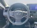 Lexus ES 300 h Business Line *Navi*CarPlay*Soundsystem* srebrna - thumbnail 11