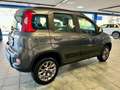 Fiat Panda 4x4 1.3 mjt 95 CV-EURO 6-NEOPATENTATI- Grigio - thumbnail 5